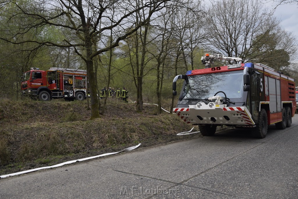 Waldbrand Wahner Heide Troisdorf Eisenweg P175.JPG - Miklos Laubert